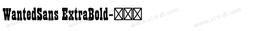 WantedSans ExtraBold字体转换